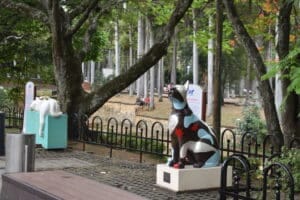 bulevar del rio cali