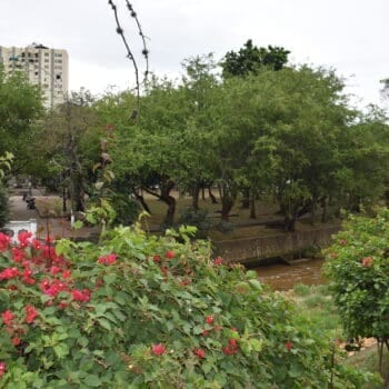bulevar del rio cali
