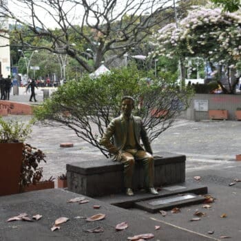 bulevar del rio cali
