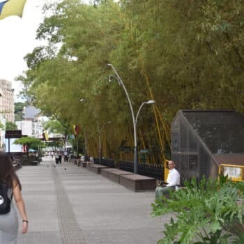 bulevar del rio cali