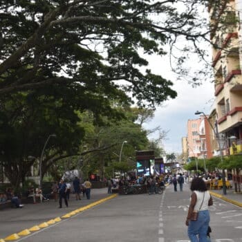 bulevar del rio cali