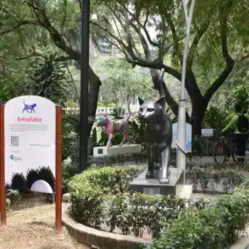 PARQUE DEL GATO
