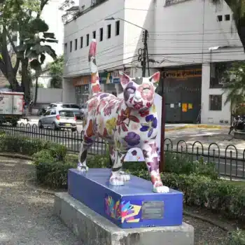 PARQUE DEL GATO
