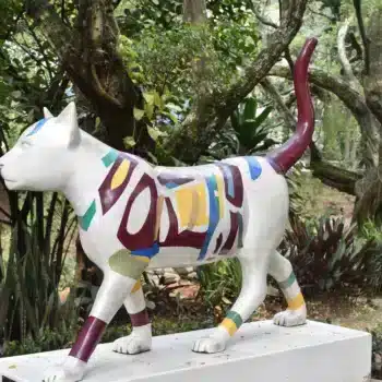 PARQUE DEL GATO