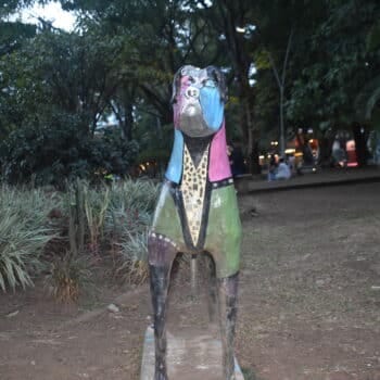 parque del perro