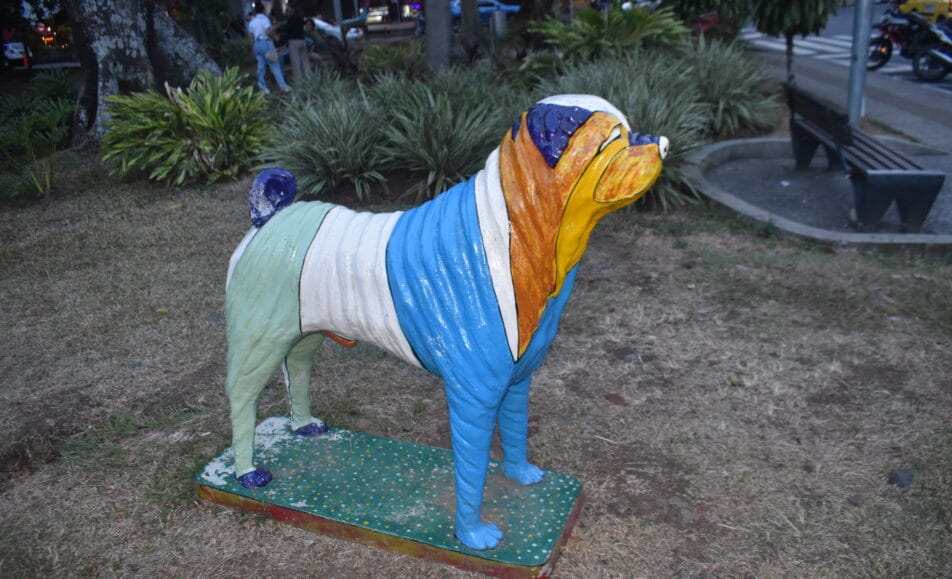 parque del perro