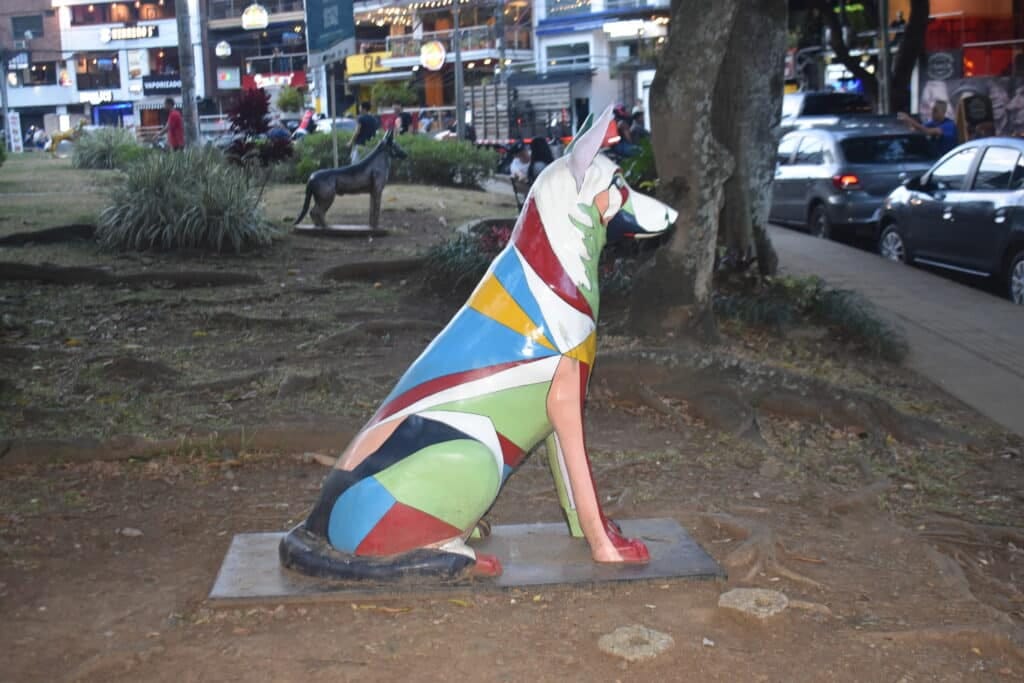 parque del perro 36 parque del perro