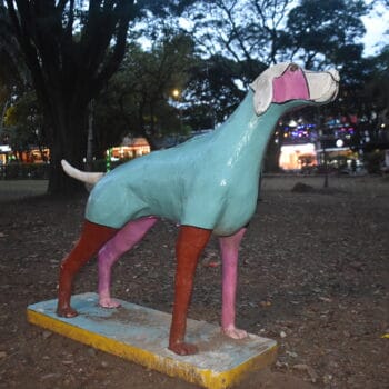 parque del perro