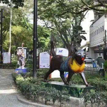 PARQUE DEL GATO