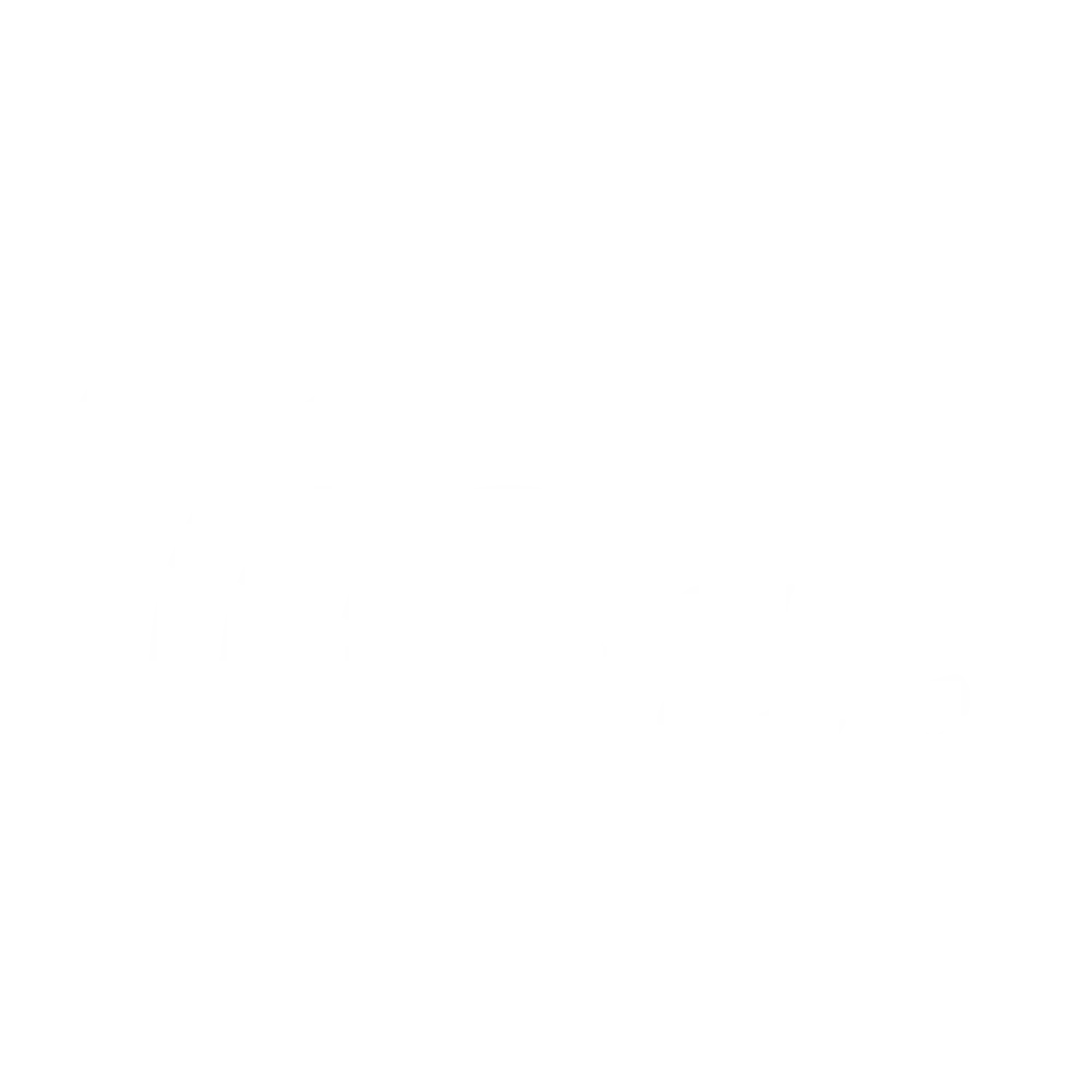 logo teatro domus