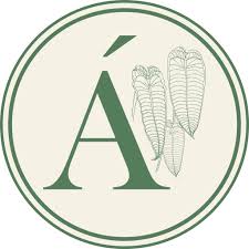 logo de apice