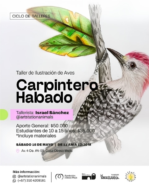 Carpintero Habado