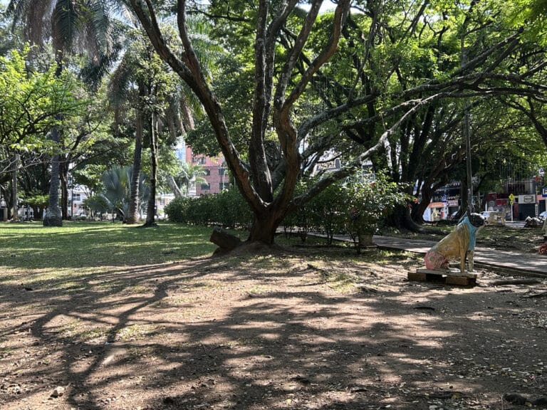 Parque del Perro Cali