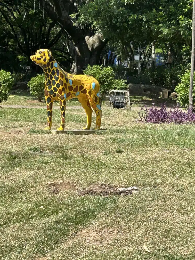 Parque del Perro Cali