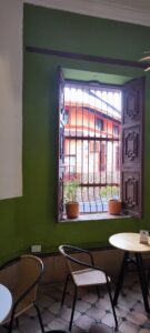 Ventana con plantas que da a la calle colonial de San Antonio desde Somos Legados Cali