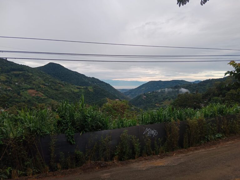 La Elvira Cali