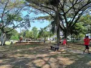 Parque El Ingenio Cali: guía completa del pulmón verde del sur de la ciudad en Cali