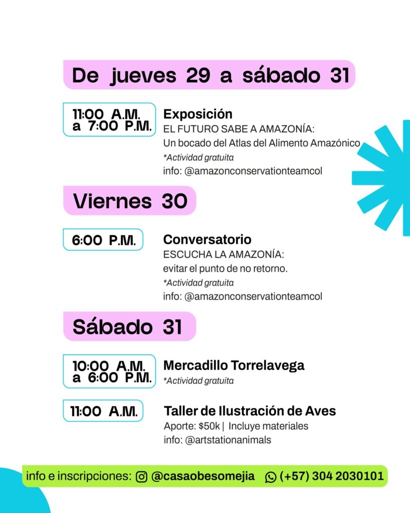 Taller de Ilustracion de Aves